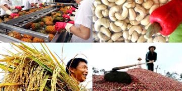 Bức tranh xuất khẩu nông, lâm, thủy sản năm 2021