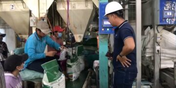 [Video] Xuất khẩu container gạo Jasmine sang Áo