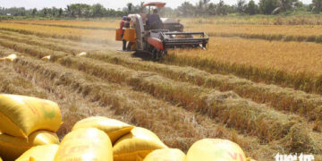 Nâng cao chất lượng nông sản Việt – Kỳ 3: Không thể không sản xuất sạch